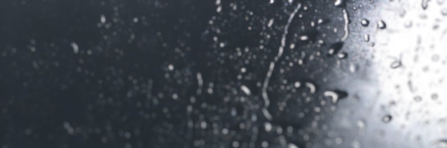 tomypalusci's profile banner image