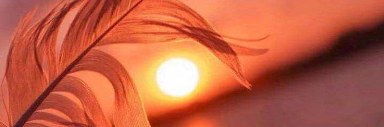 ‏المهند/مقيد إضافات banner