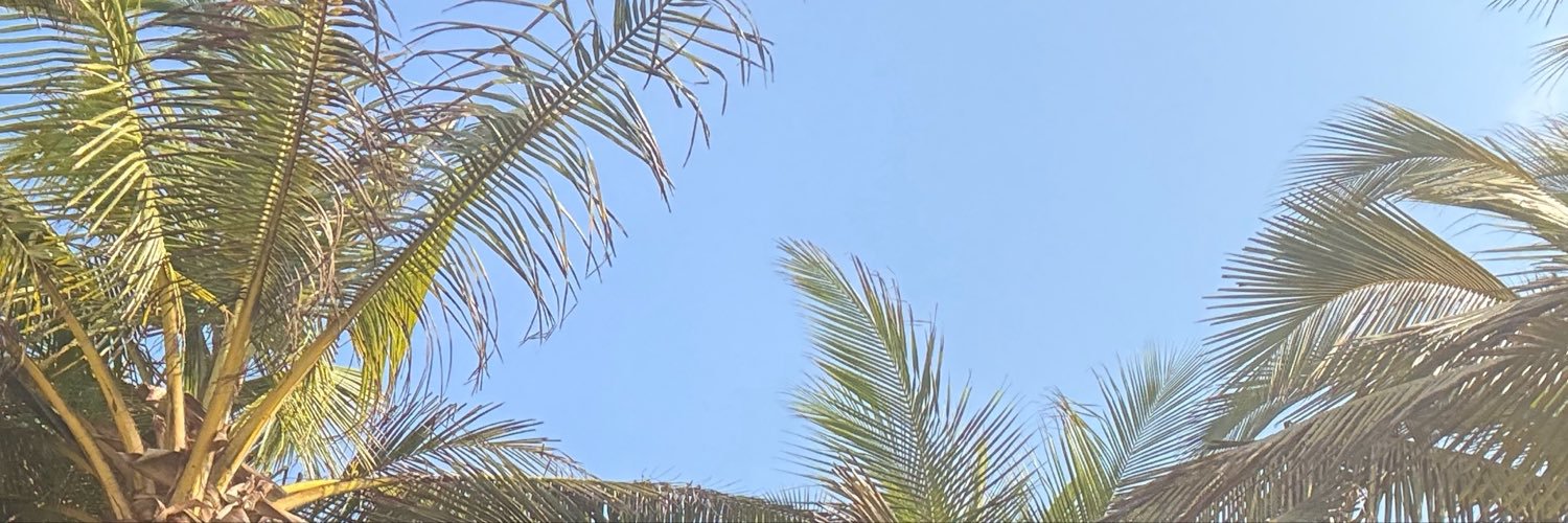 VivAdjoa's profile banner image