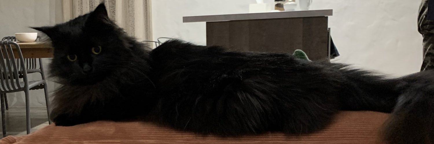KaliNatali's profile banner image