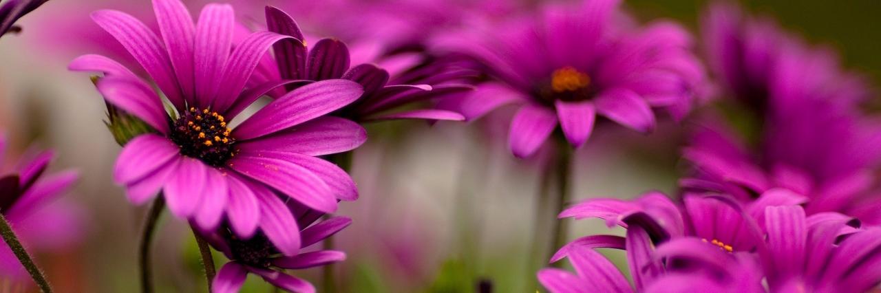 Encantada_GRD's profile banner image