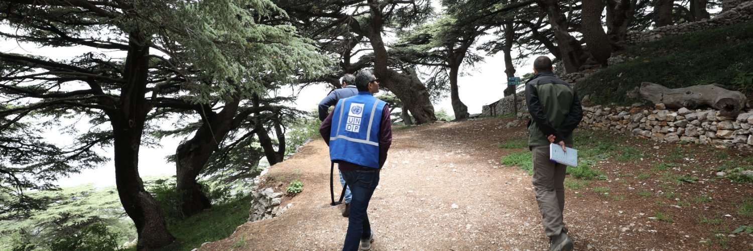 UNDP Lebanon's banner
