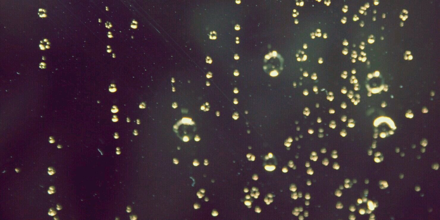 Distraction Network banner