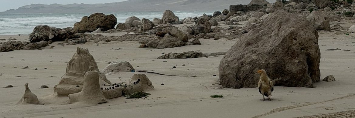 تنوير banner