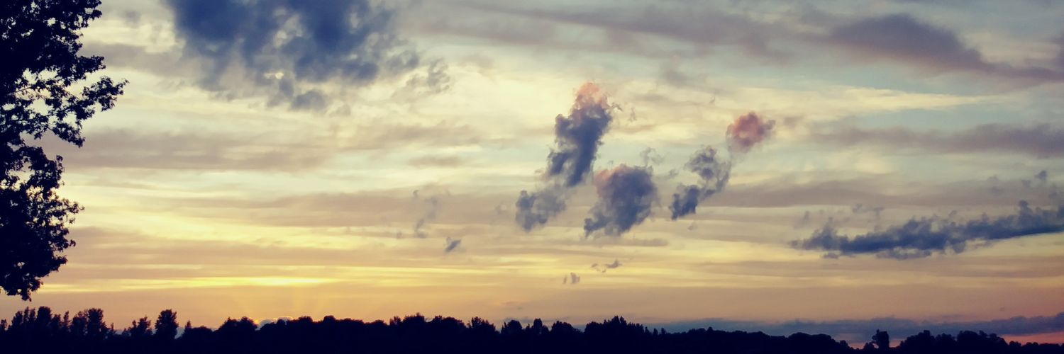 griesse's profile banner image