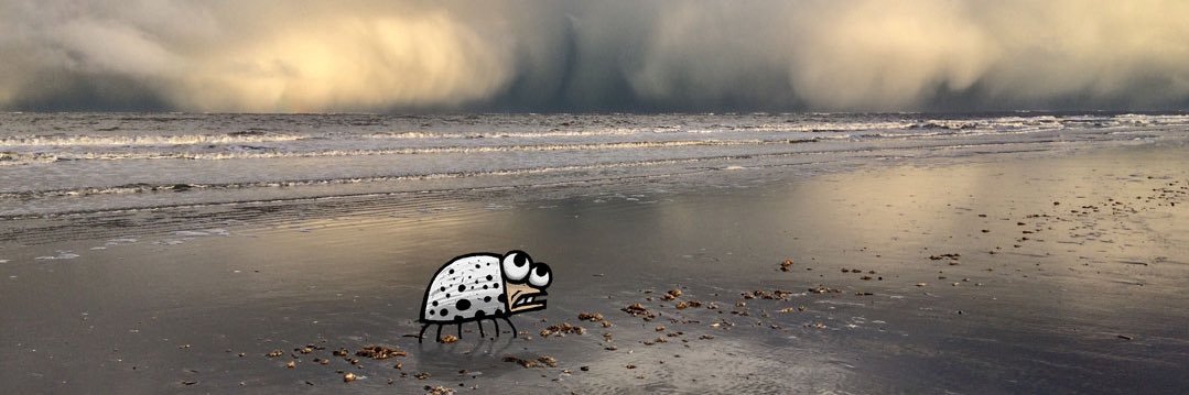 snoepkever's profile banner image