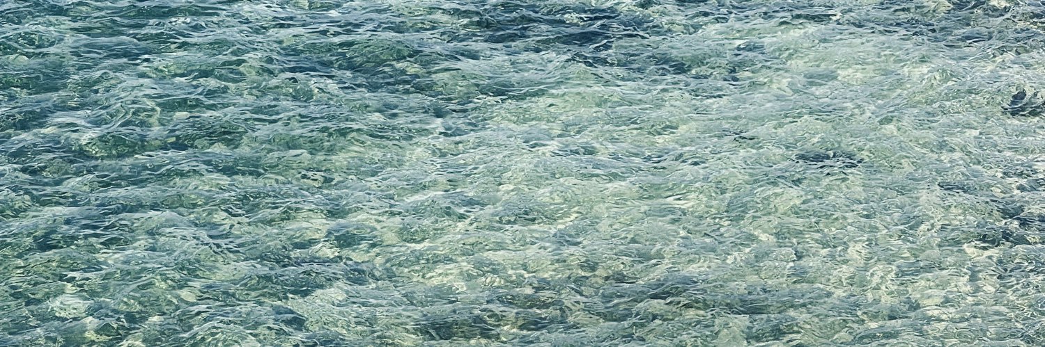 lindagermanis's profile banner image