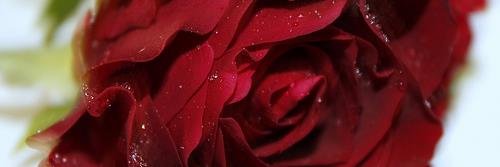 samuelmartin703's profile banner image