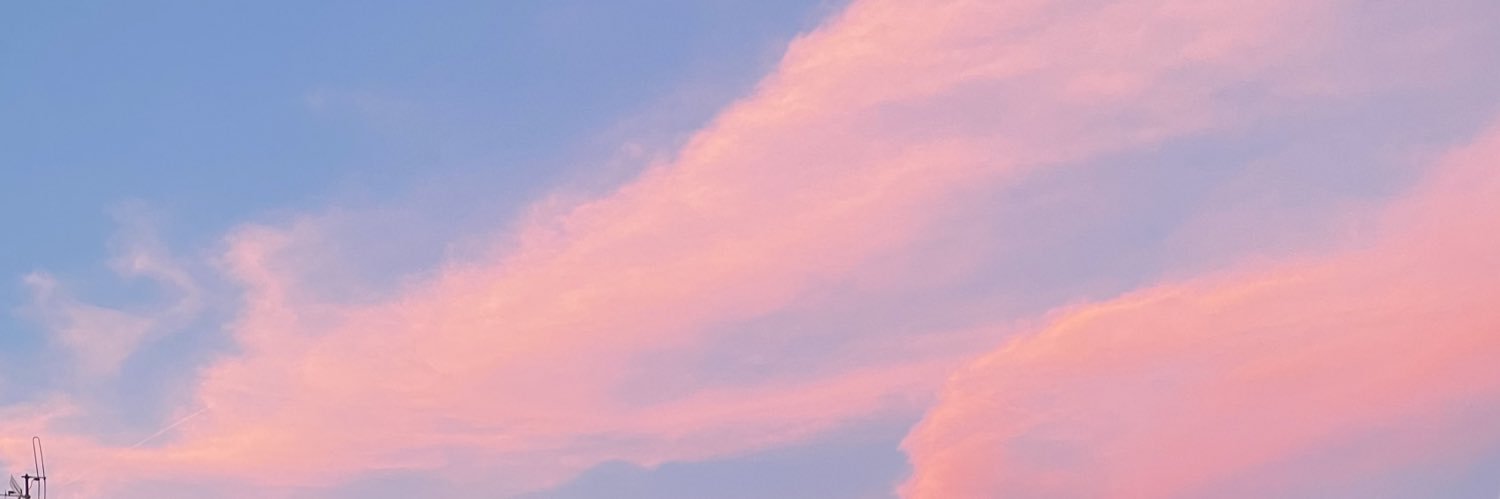 lealaft's profile banner image