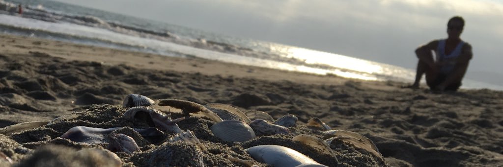 JSarmiento023's profile banner image