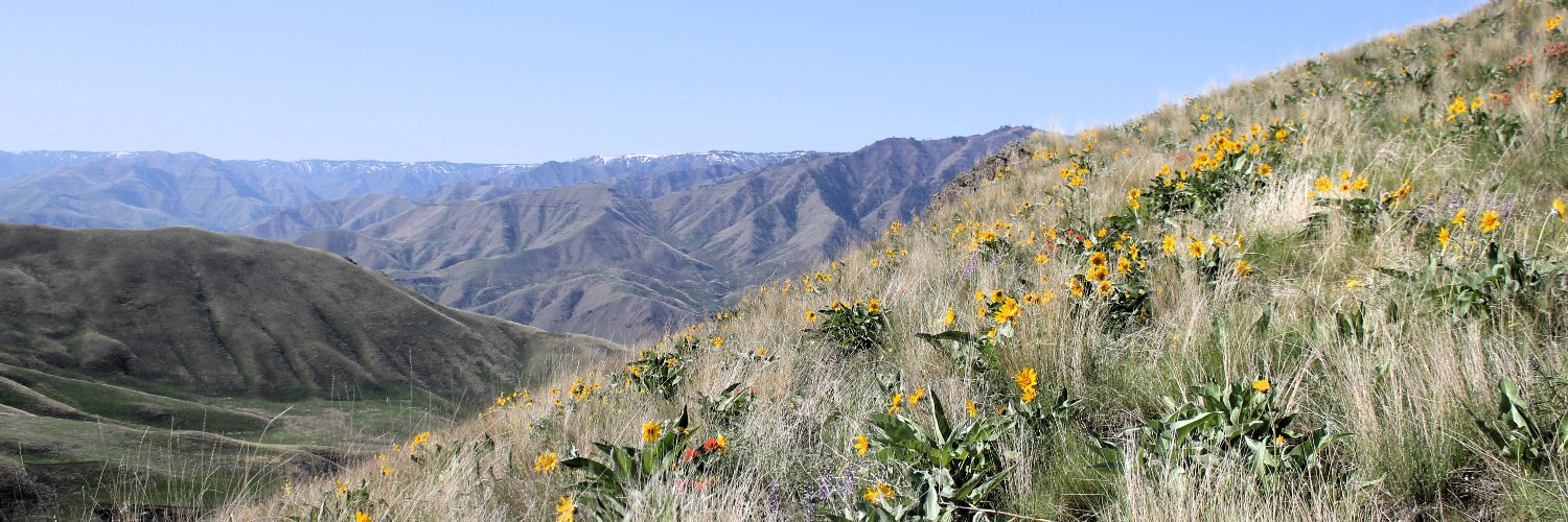 The Nature Conservancy in Idaho banner