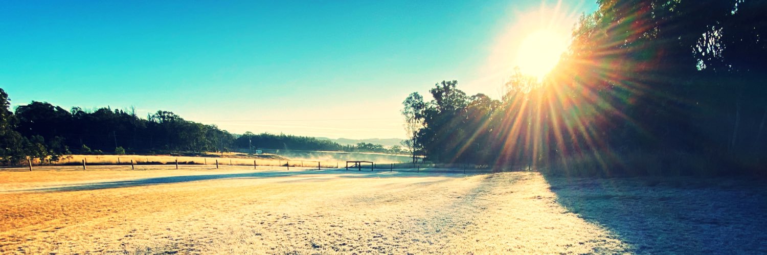 traceyleeoz's profile banner image