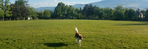 AshlandsDan Profile Banner