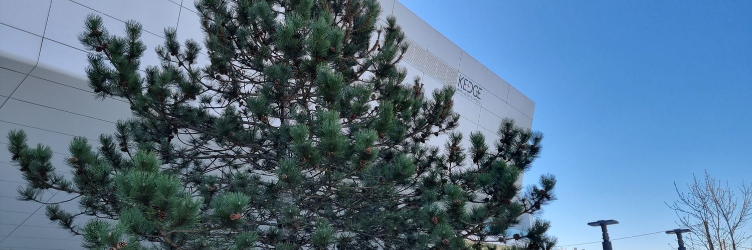 Stéphane Paquelet banner