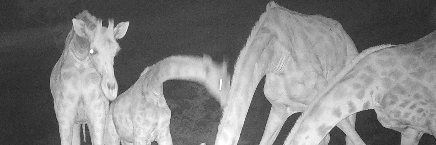 Caspian Johnson banner