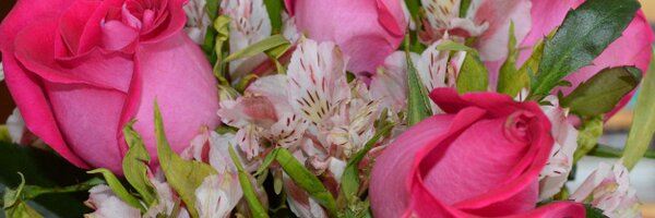 MrsGrantEV Profile Banner