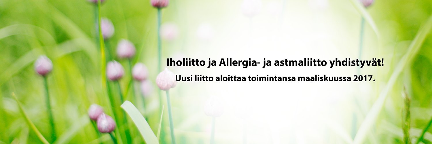 iholiitto's profile banner image