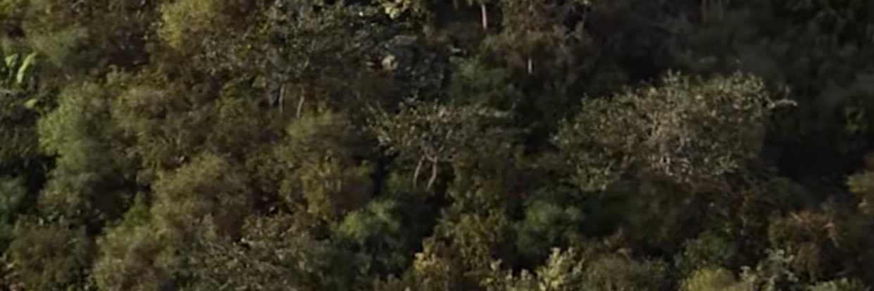 HdSwmidi's profile banner image