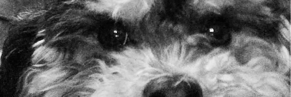 MrsBalboa6's profile banner image
