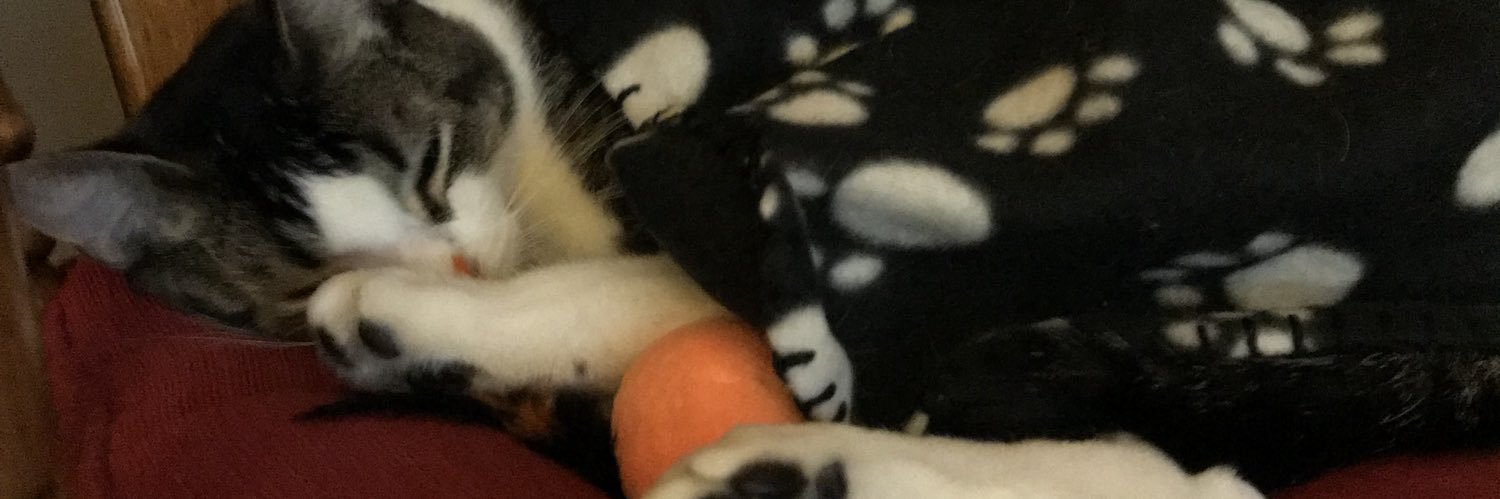 EmmaErwilly's profile banner image