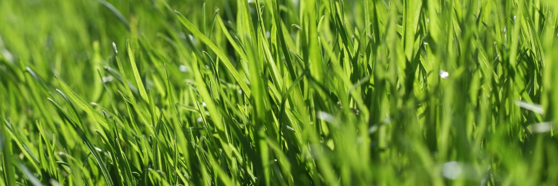 YoinGolf's profile banner image