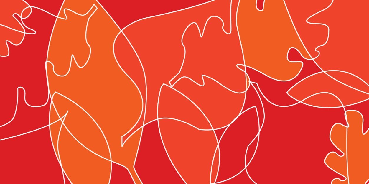 FondFox's profile banner image