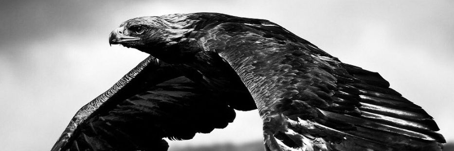 talat_gozel's profile banner image