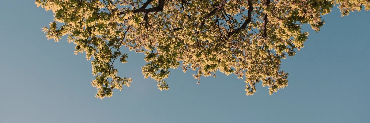 rescindxx's profile banner image