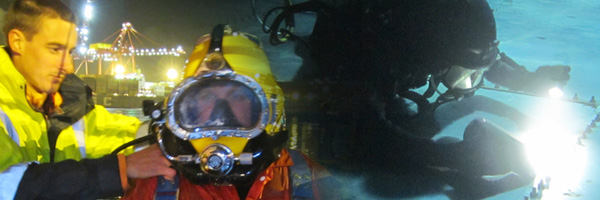 freodiving's profile banner image