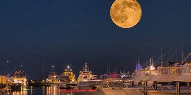 cryptogizmo's profile banner image