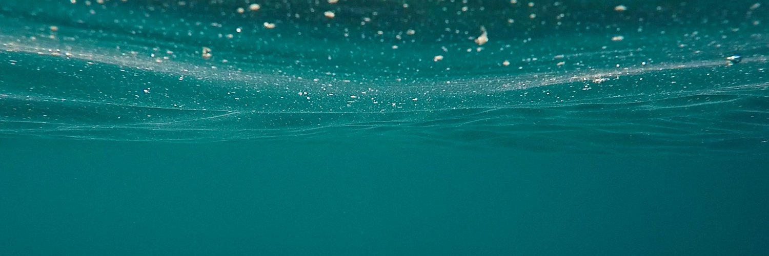 SwedenWaterResearch banner