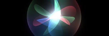 Yavel Rodea banner