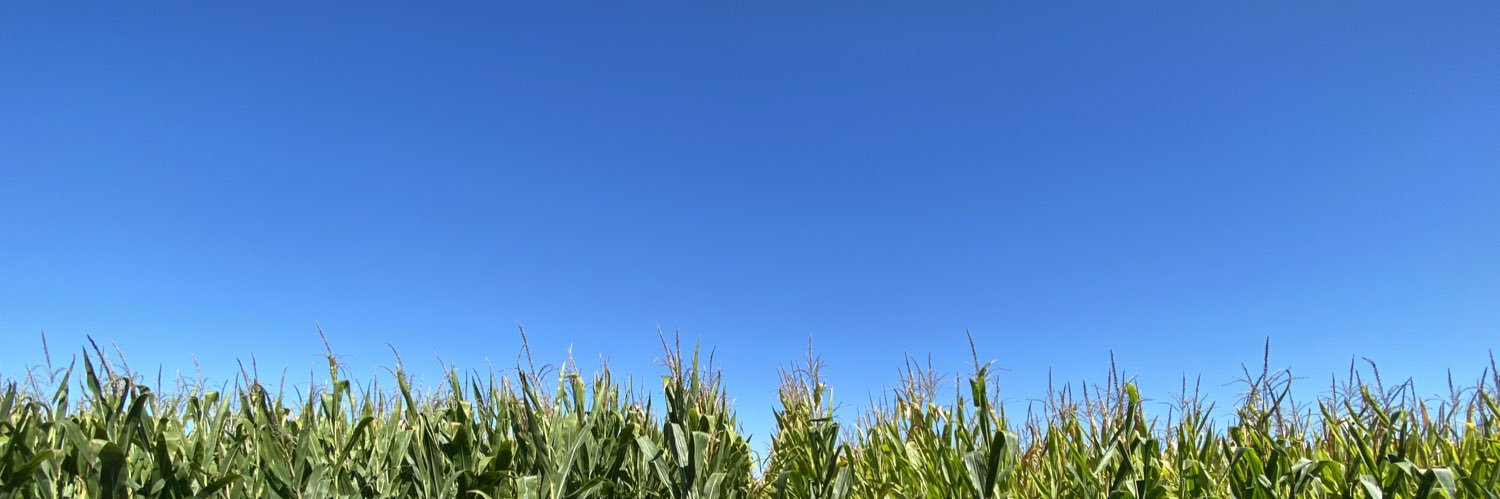 kquijane's profile banner image