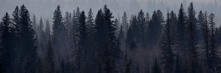 annikaimueller's profile banner image