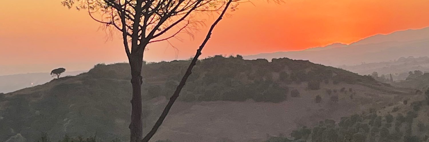 ronscarol's profile banner image