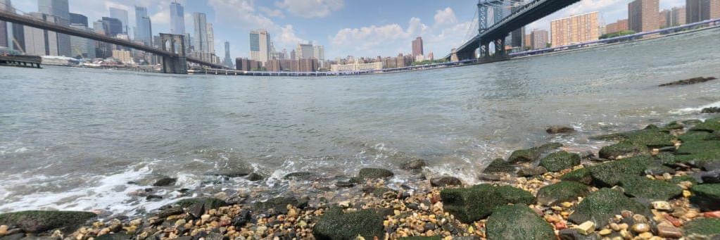 Kristy Etheridge banner