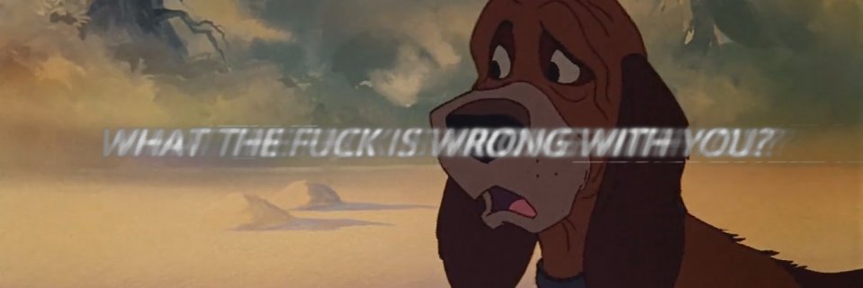 Funny Gay Real Estate banner