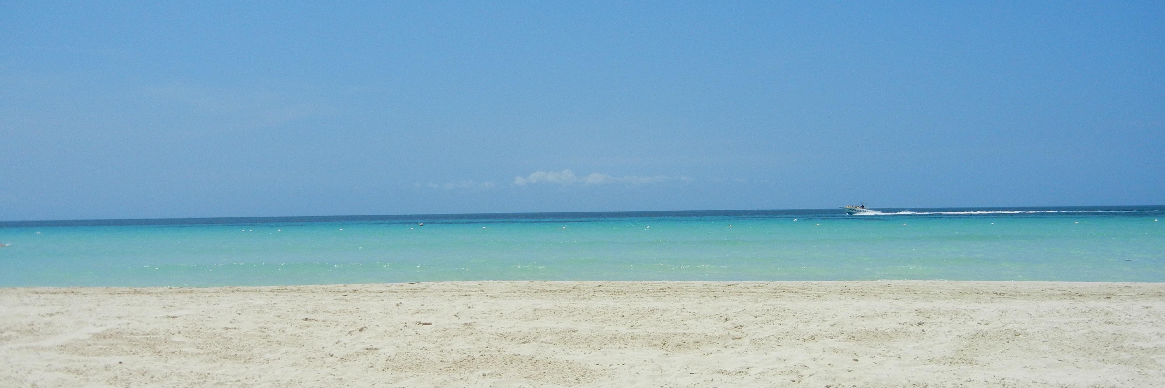 SSDC5's profile banner image