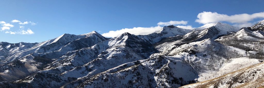 Andrew MacKay banner