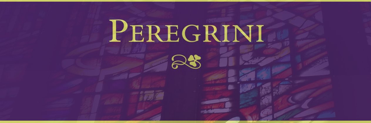 Peregriniuk's profile banner image