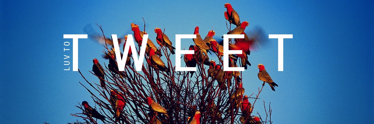 Anantha Narayan banner