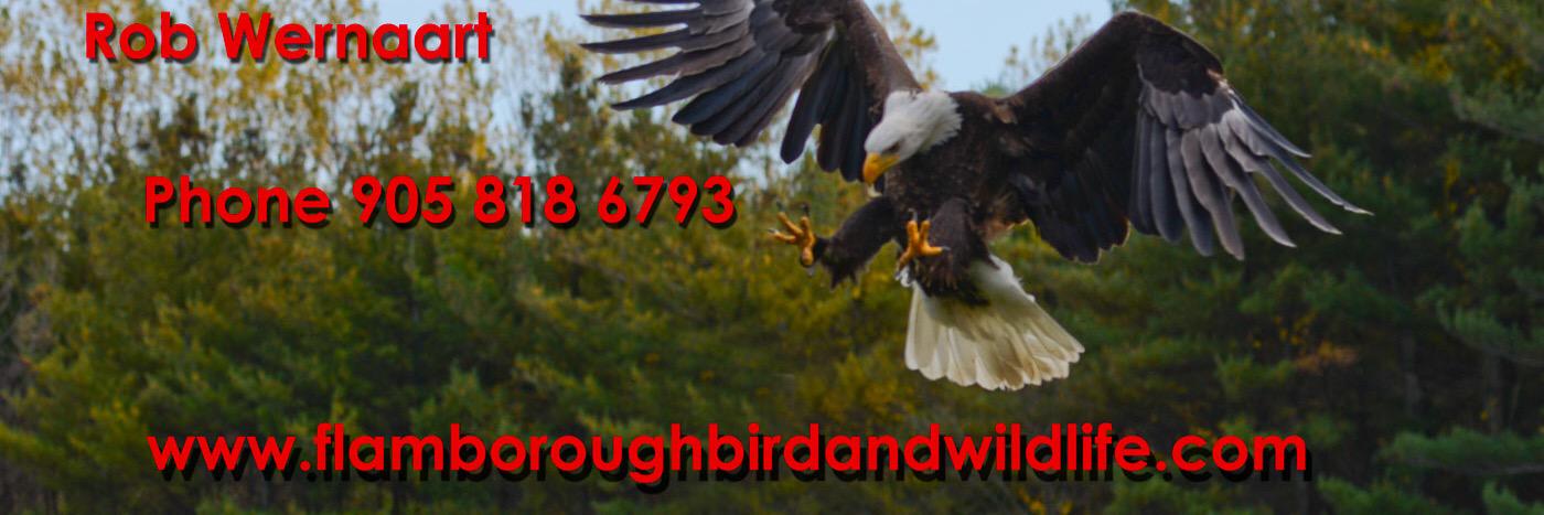 robwernaart's profile banner image