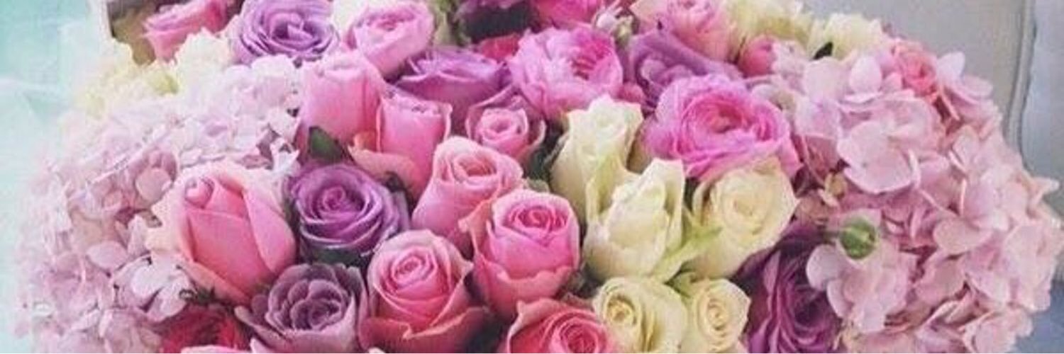 QueenAdel3's profile banner image
