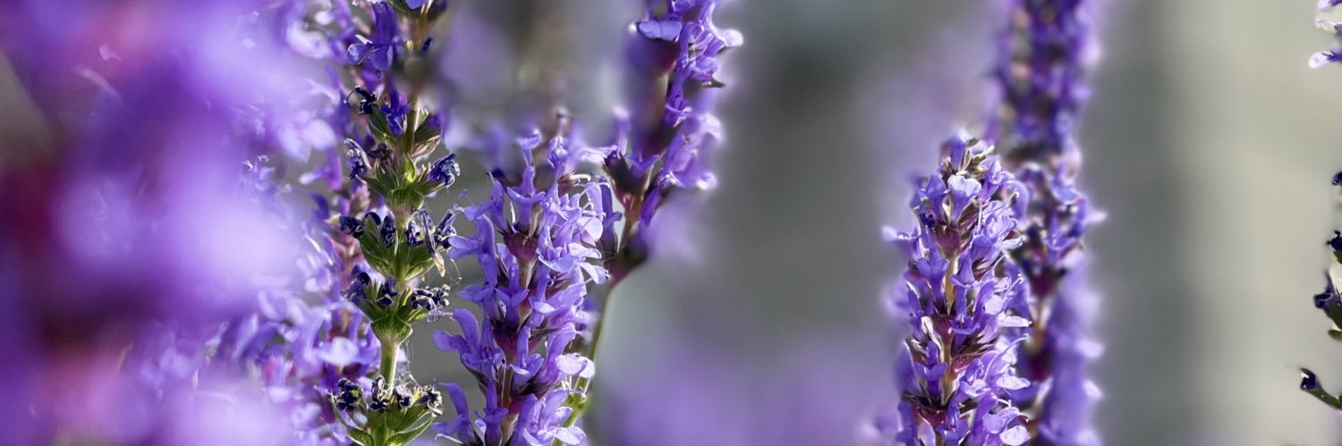 FreshourKarley's profile banner image