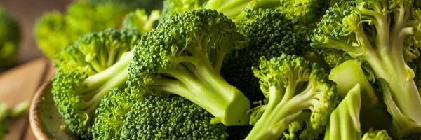 lizz_yonce Profile Banner