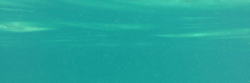 more68mo's profile banner image