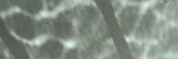 littlenono Profile Banner