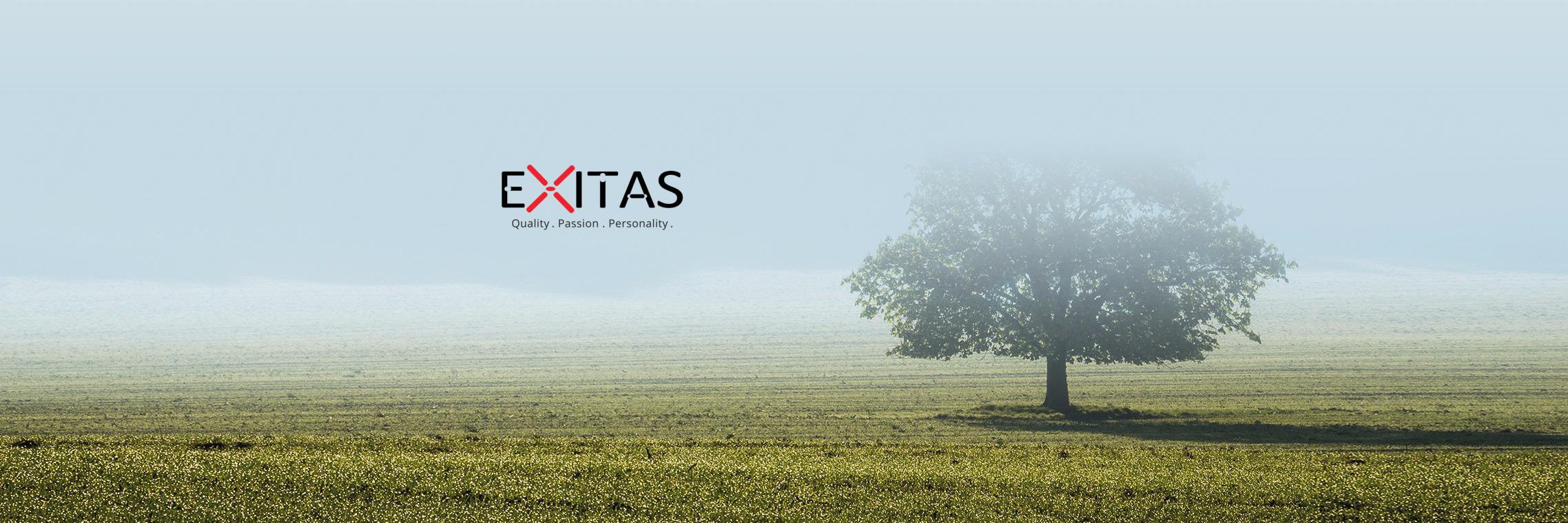 Exitas banner