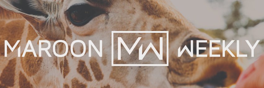 maroonweekly's profile banner image