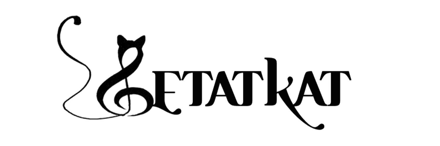 the girl can rap banner